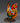 Peacock Opening Butterfly Night Light